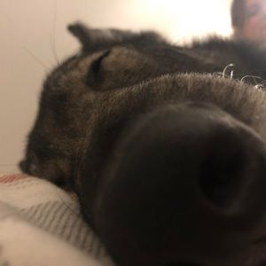 Meet your Posher, Drew